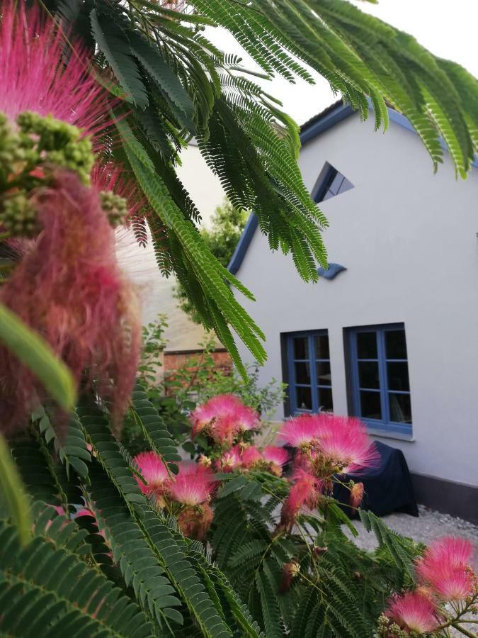 Das Nest Eisenstadt Exterior foto
